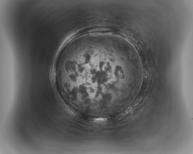 X0000113310053200909211150