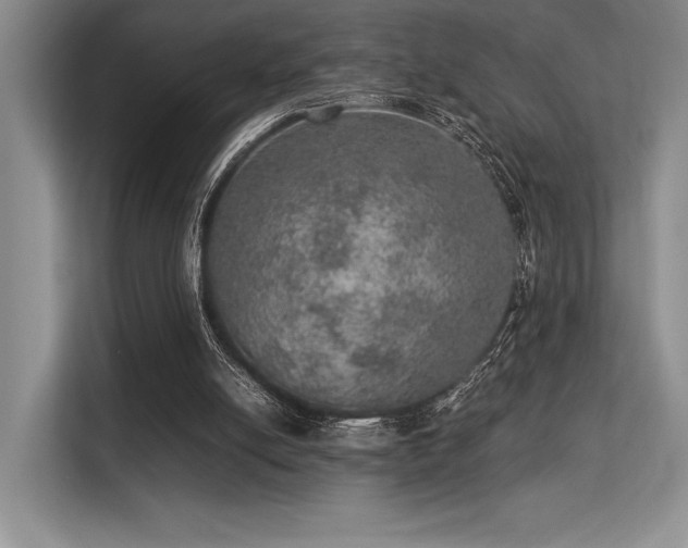 X0000113310054200909211150