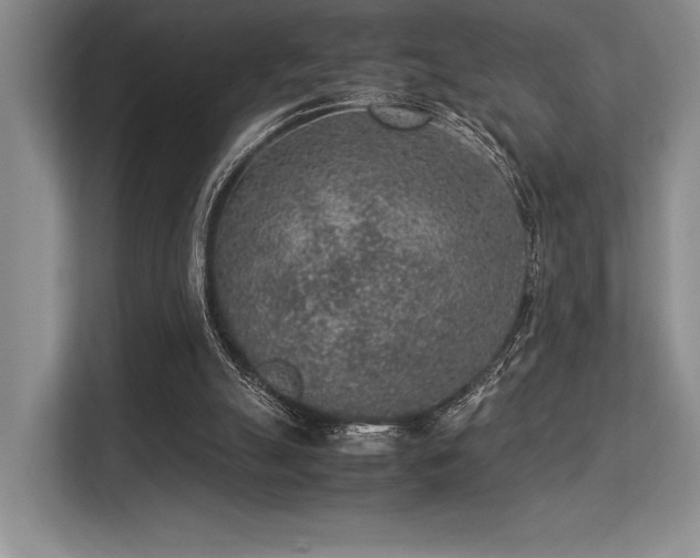 X0000113310055200909211150