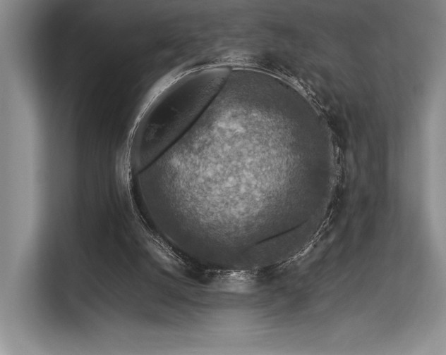 X0000113310056200909211150