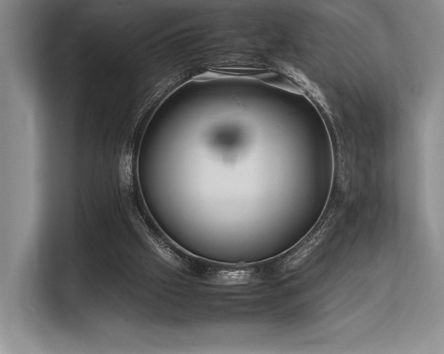 X0000113310057200909211150