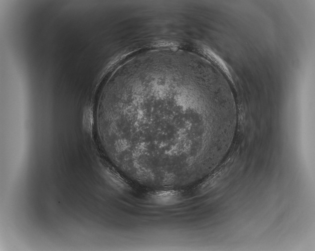 X0000113310059200909211150