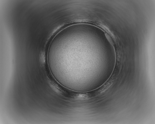 X0000113310060200909211150