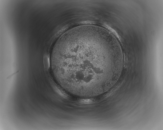 X0000113310061200909211150