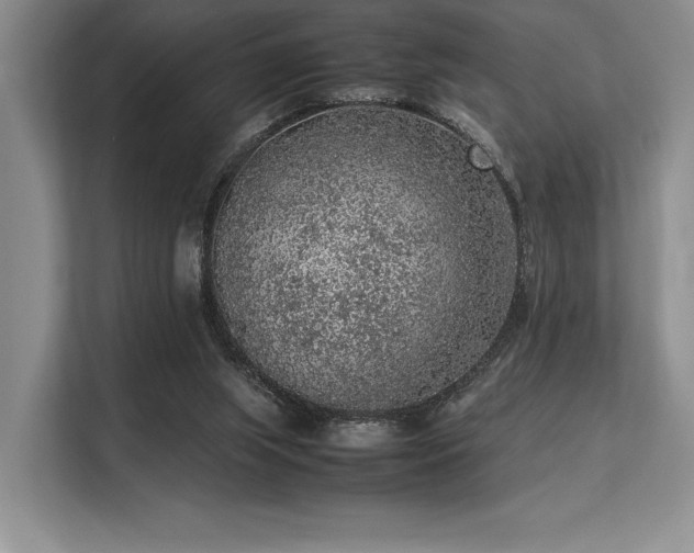 X0000113310063200909211150