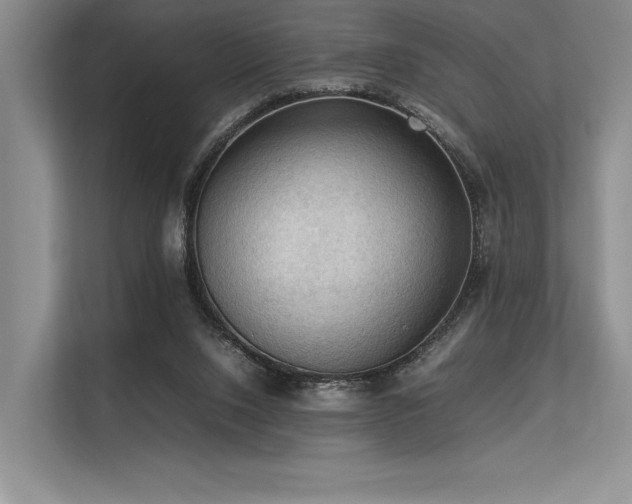 X0000113310064200909211150