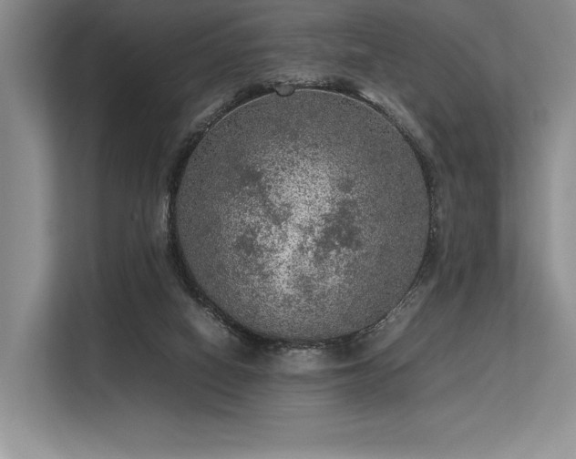 X0000113310066200909211150