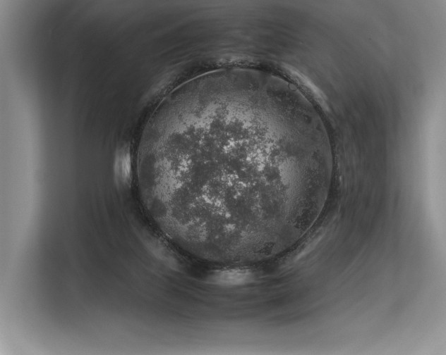 X0000113310067200909211150