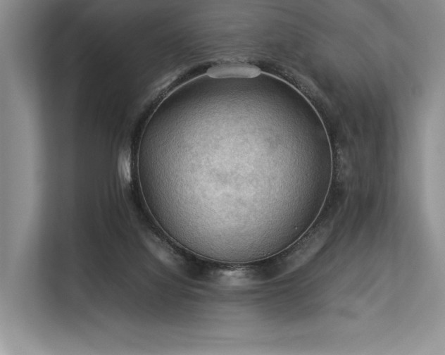 X0000113310068200909211150