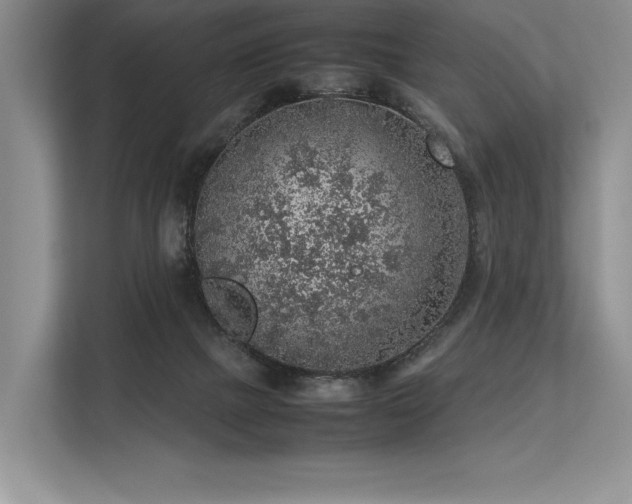 X0000113310073200909211150