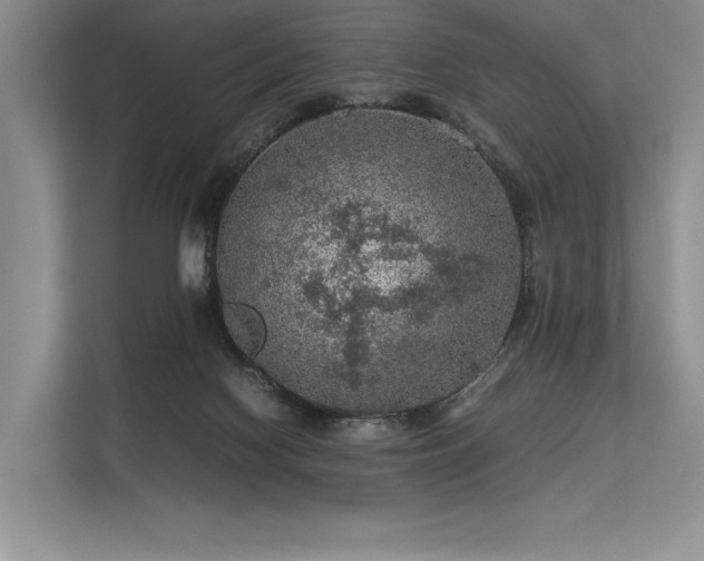 X0000113310074200909211150