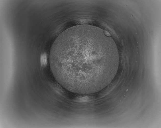 X0000113310075200909211150