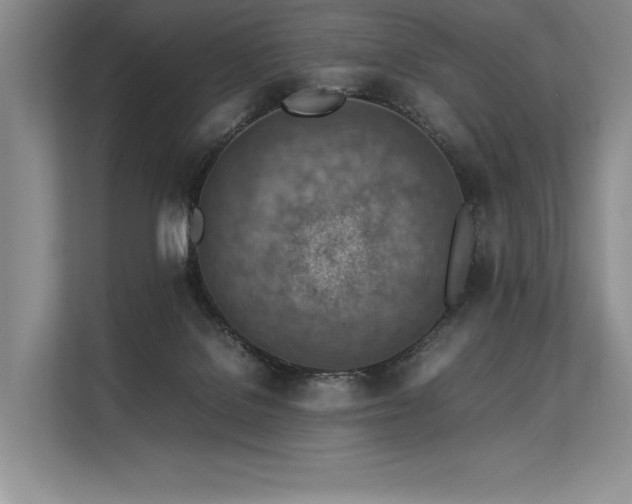 X0000113310076200909211150