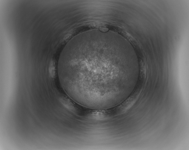 X0000113310080200909211150