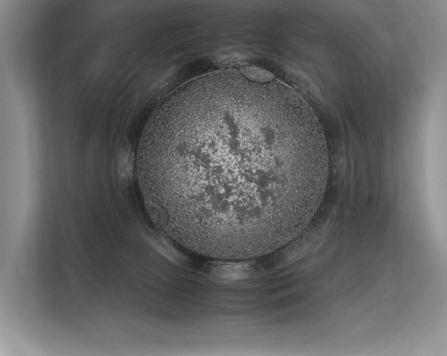 X0000113310081200909211150