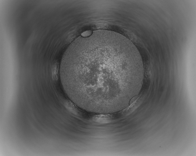 X0000113310082200909211150