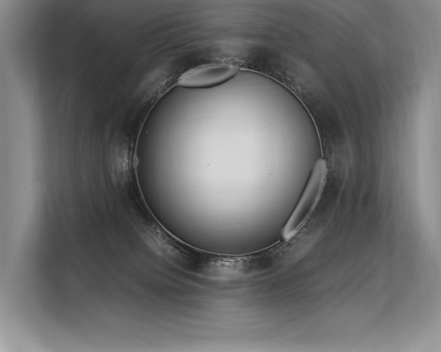 X0000113310084200909211150