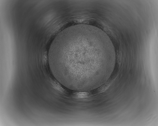 X0000113310085200909211150