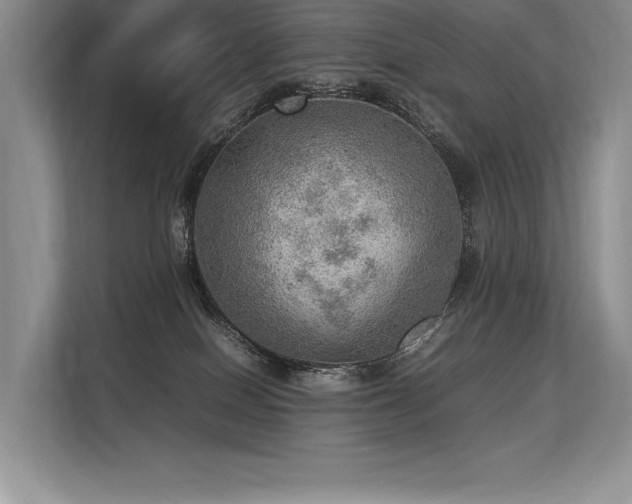 X0000113310086200909211150