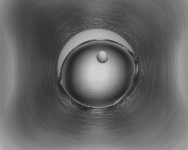 X0000113310088200909211150