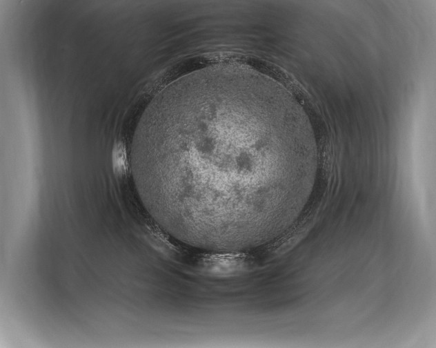 X0000113310089200909211150