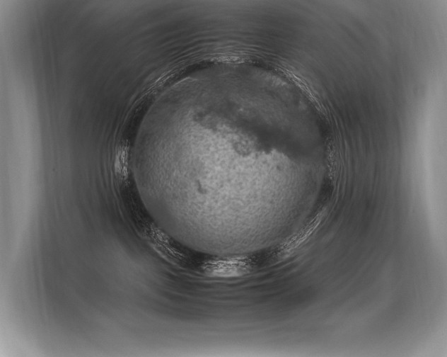 X0000113310093200909211151