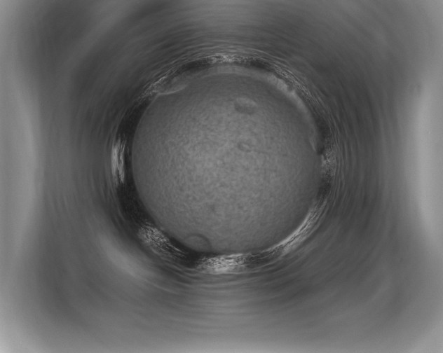 X0000113310094200909211151