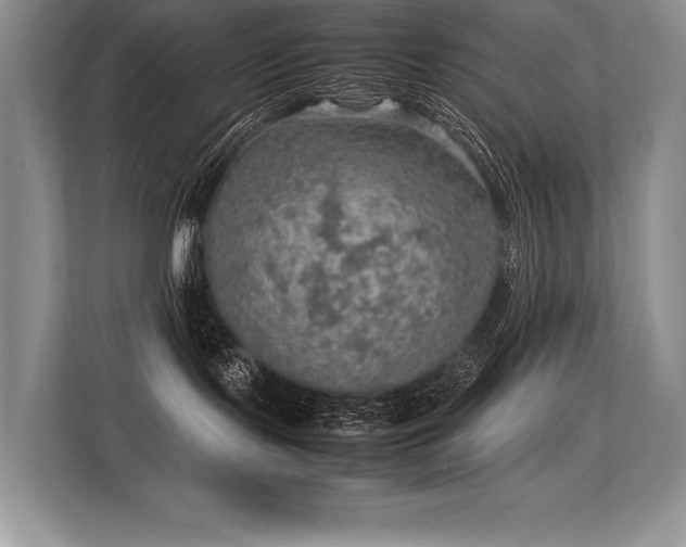 X0000113310095200909211151