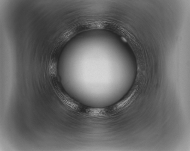 X0000113310096200909211151