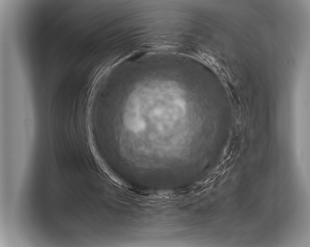 X0000113310097200909211150