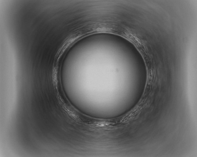 X0000113310098200909211150