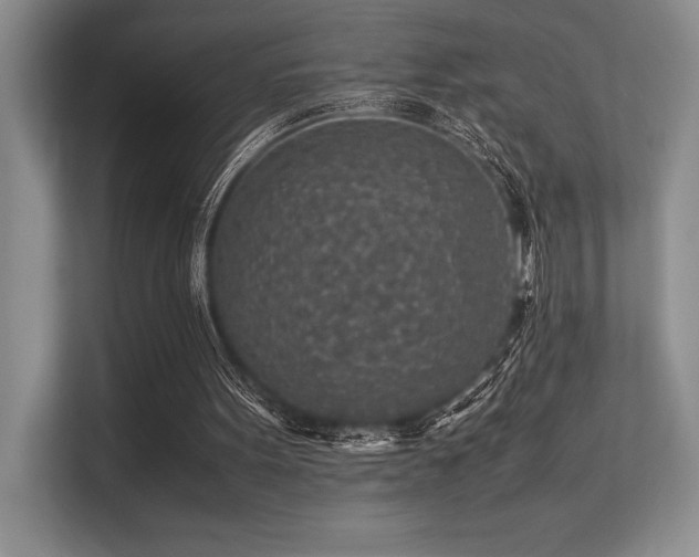 X0000113310099200909211150