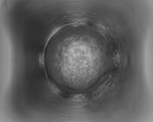 X0000113310100200909211150