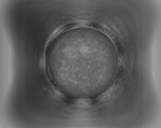 X0000113310101200909211150