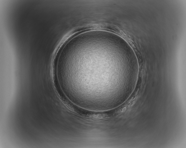 X0000113310103200909211150