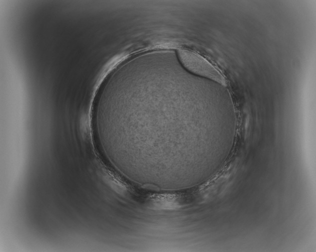 X0000113310104200909211150