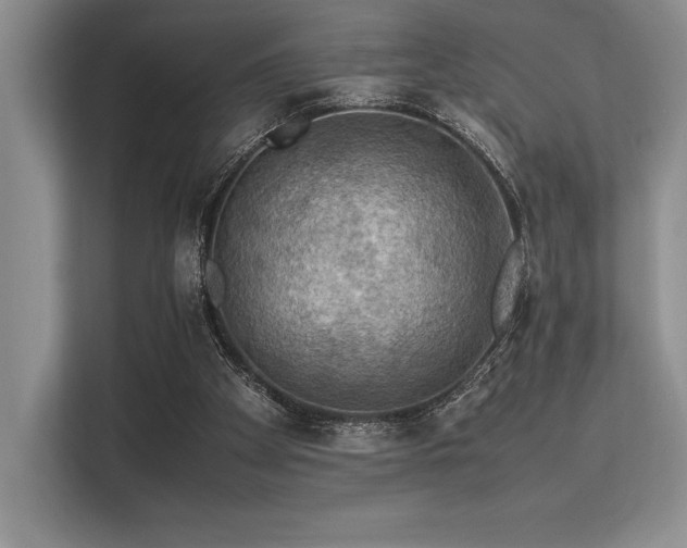 X0000113310105200909211150