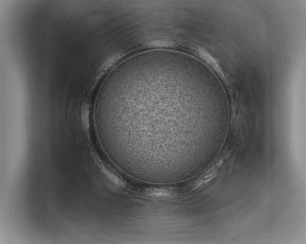 X0000113310106200909211150