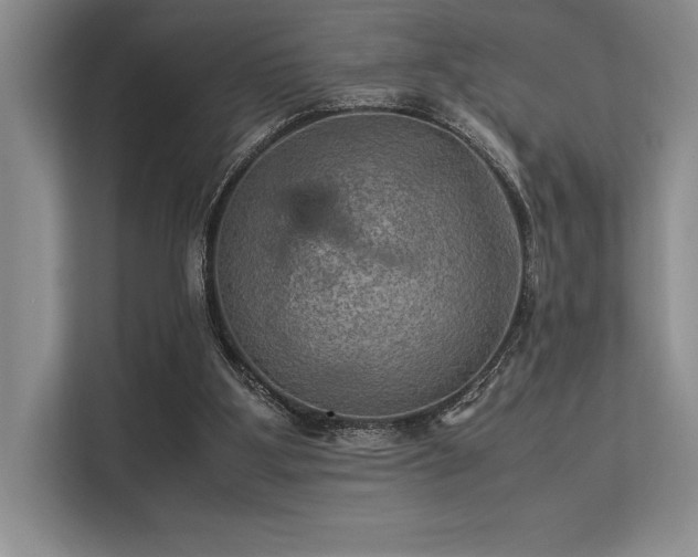 X0000113310107200909211150