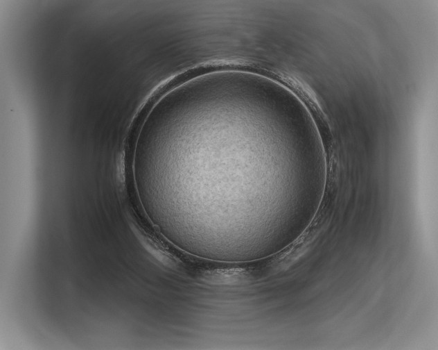 X0000113310108200909211150