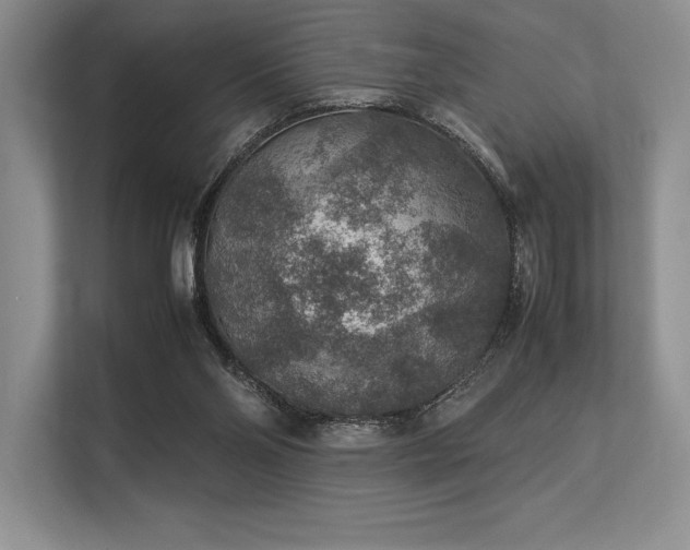 X0000113310110200909211150