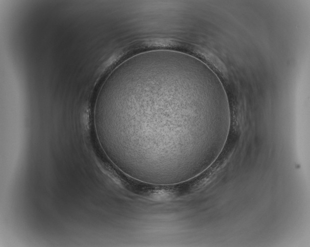 X0000113310111200909211150