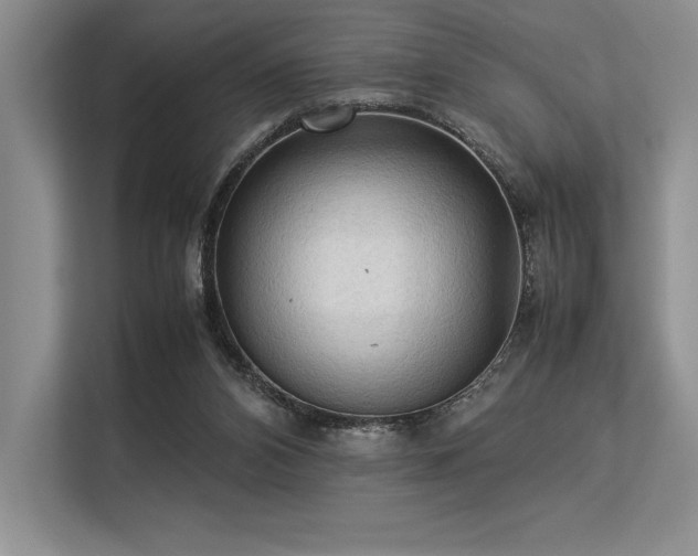 X0000113310112200909211150