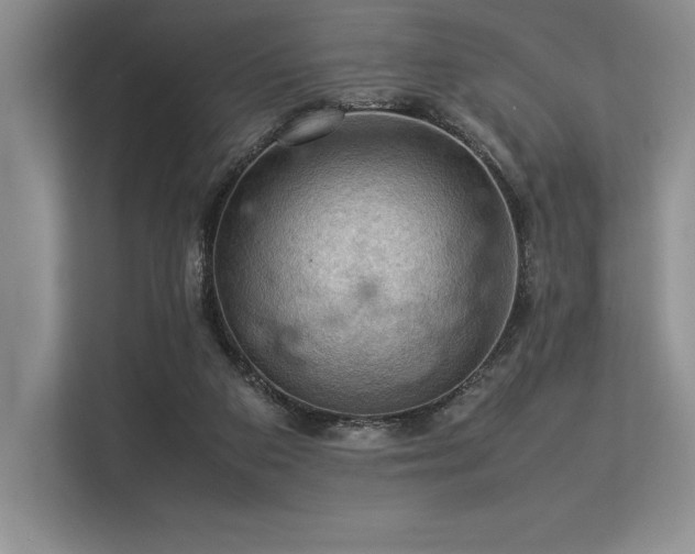 X0000113310113200909211150