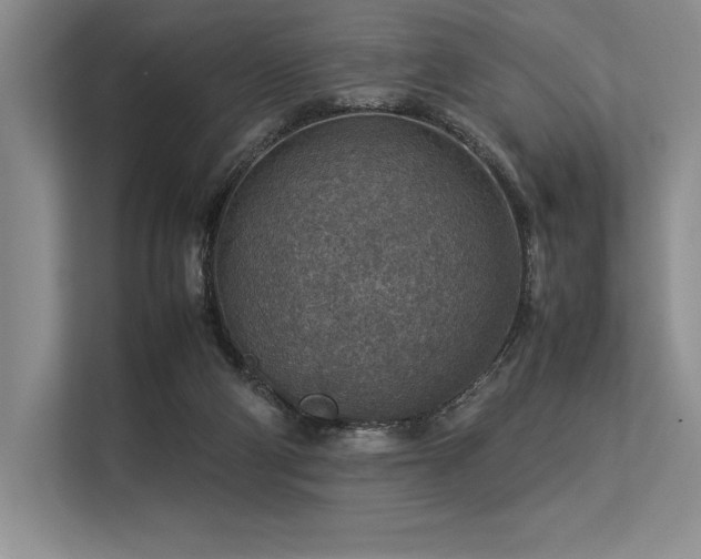 X0000113310114200909211150