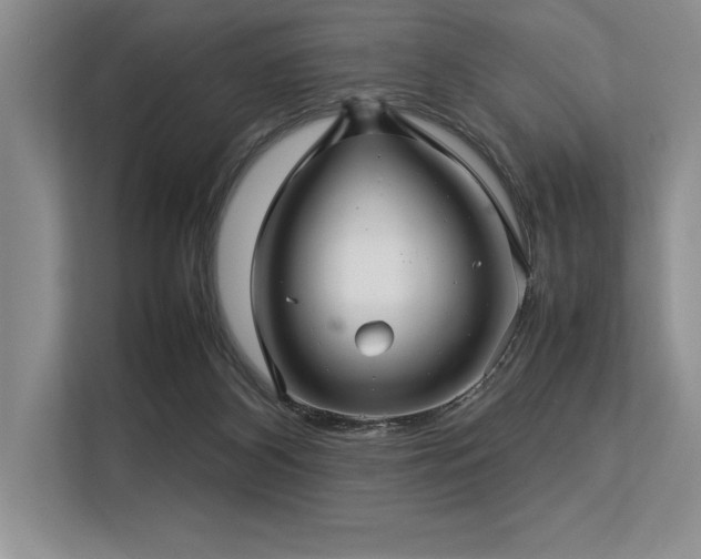 X0000113310116200909211150