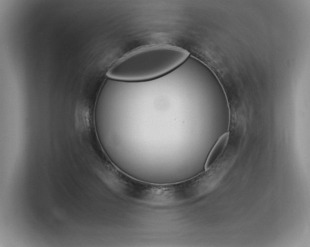 X0000113310117200909211150