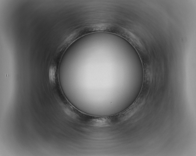 X0000113310118200909211150