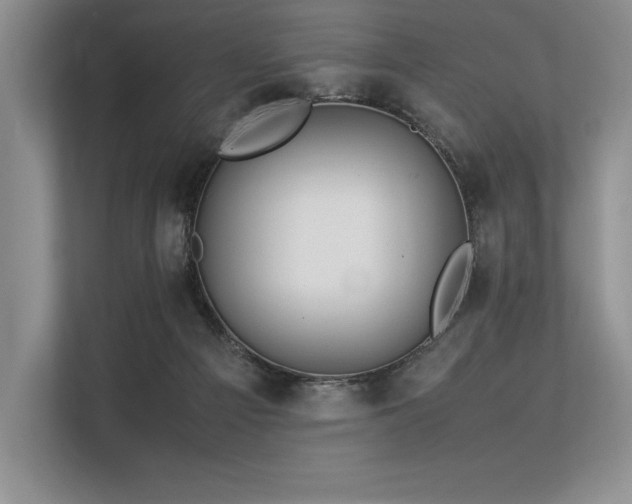 X0000113310121200909211150