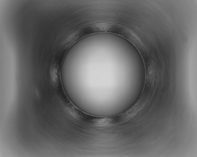 X0000113310122200909211150